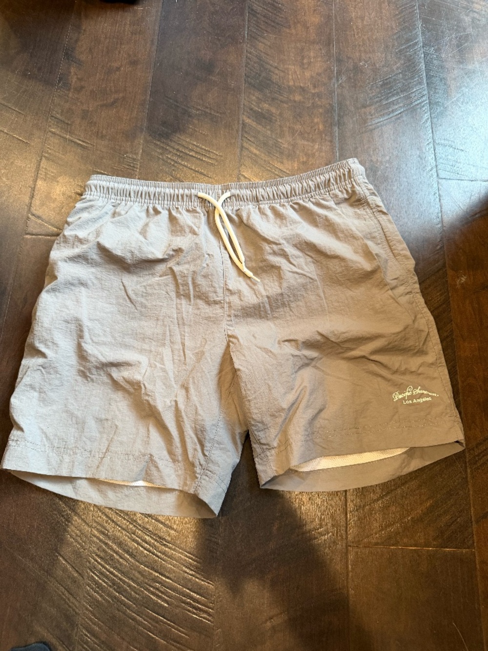 PACSUN MENS LINED SWIMSHORTS